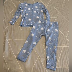 Kyte Baby - Arctic Long Sleeve Pajamas